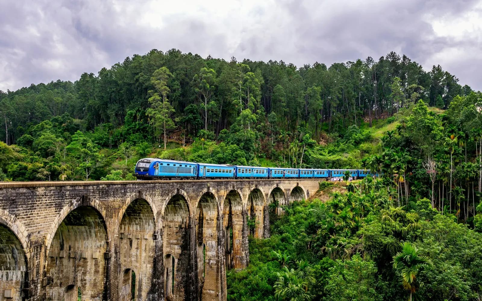 Colombo to Ella Private Transfer — airport transfer in Sri Lanka