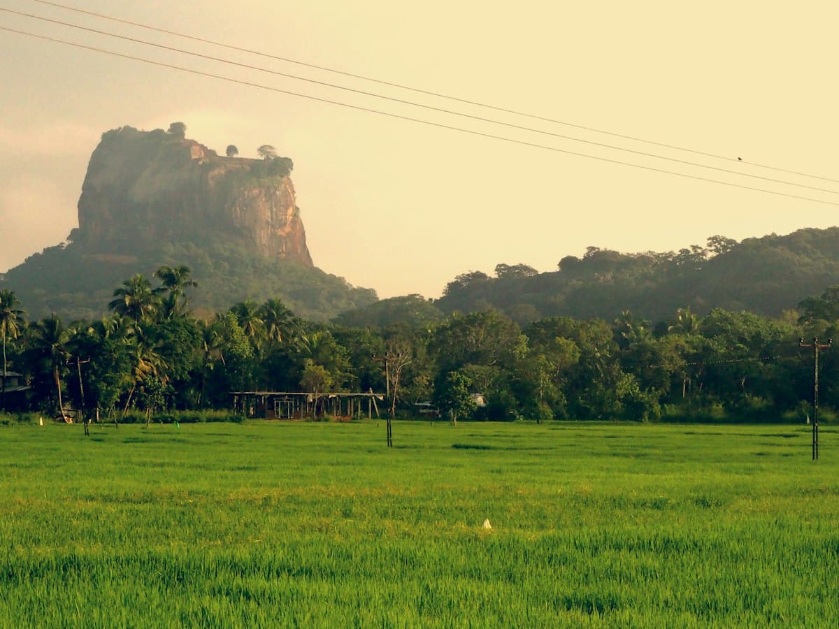 Hill-country roads and green fields in Sri Lanka