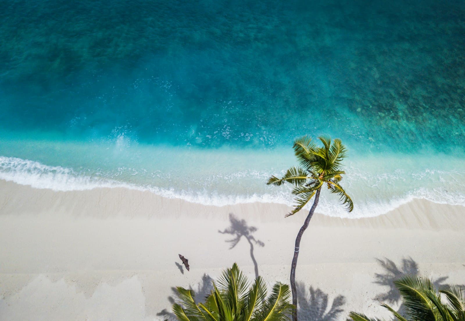 Colombo to Galle Private Transfer — airport transfer in Sri Lanka