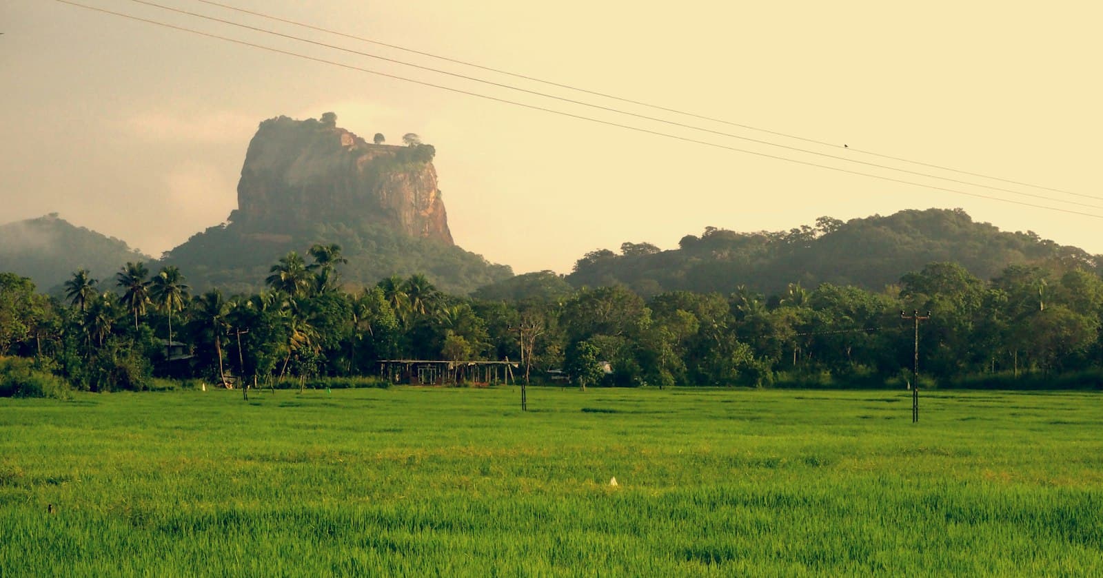 Green hills and tea country landscape in Sri Lanka